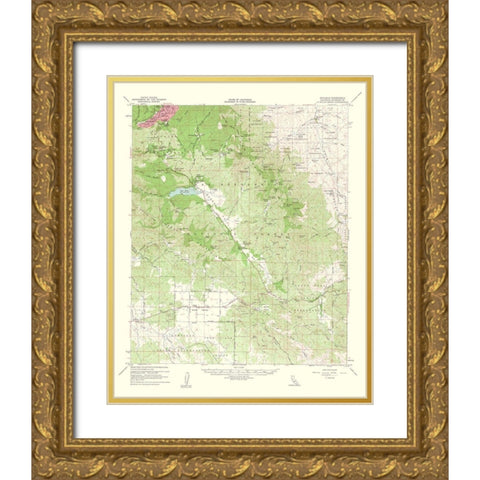Idyllwild California Quad - USGS 1963 Gold Ornate Wood Framed Art Print with Double Matting by USGS