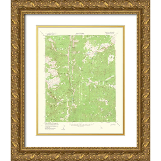Perspective Image