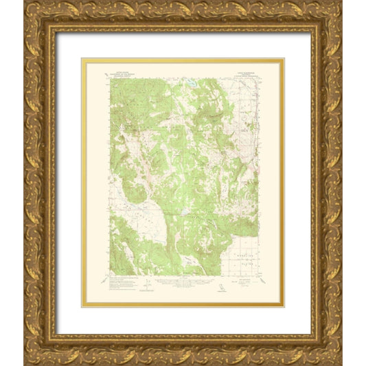 Perspective Image