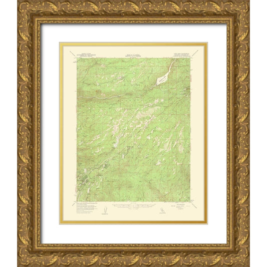 Perspective Image