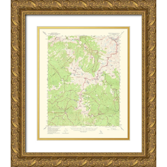 Perspective Image