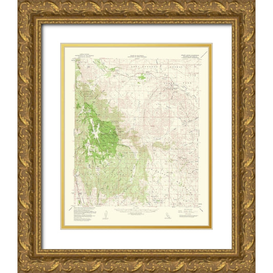 Perspective Image