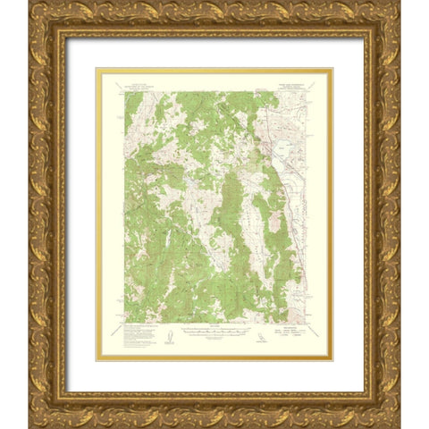 Topaz Lake California Nevada Quad - USGS 1956 Gold Ornate Wood Framed Art Print with Double Matting by USGS