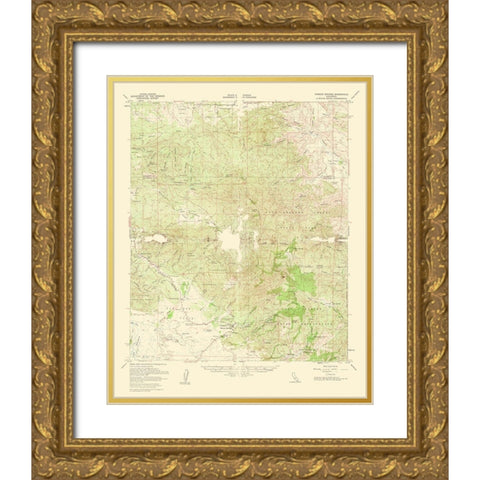 Warner Springs California Quad - USGS 1961 Gold Ornate Wood Framed Art Print with Double Matting by USGS