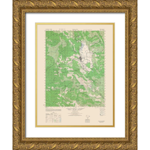 Wilits Sheet - US Army 1943 Gold Ornate Wood Framed Art Print with Double Matting by US Army