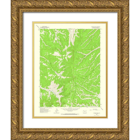 Calamity Ridge Colorado Quad - USGS 1962 Gold Ornate Wood Framed Art Print with Double Matting by USGS