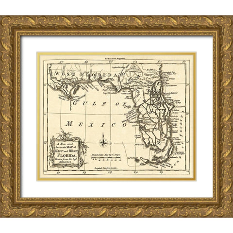 Florida -1765 Gold Ornate Wood Framed Art Print with Double Matting by Unknown