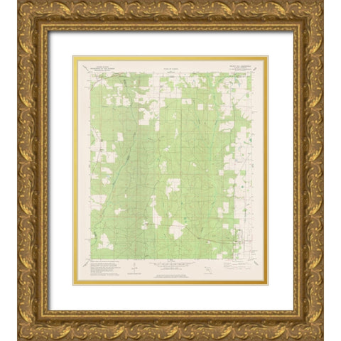 Walnut Hill Florida Quad - USGS 1978 Gold Ornate Wood Framed Art Print with Double Matting by USGS