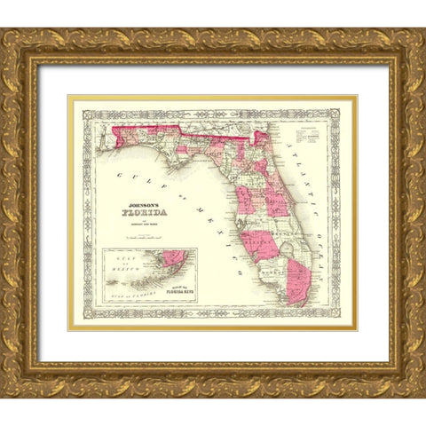 Florida - Johnson 1863 Gold Ornate Wood Framed Art Print with Double Matting by Johnson