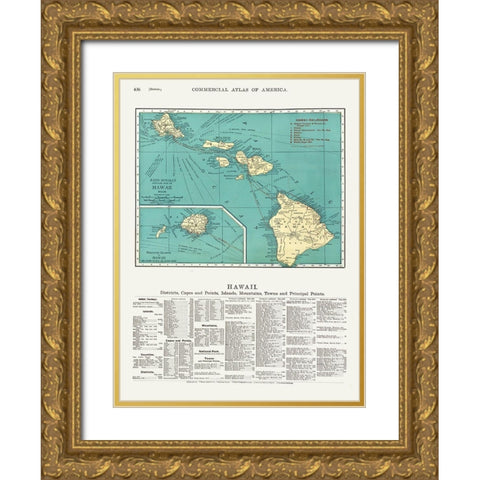 Hawaii - Rand McNally 1902  Gold Ornate Wood Framed Art Print with Double Matting by Rand McNally