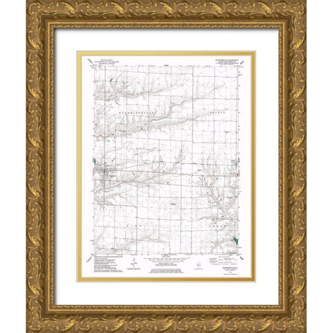 Blandinsville Illinois Quad - USGS 1974 Gold Ornate Wood Framed Art Print with Double Matting by USGS