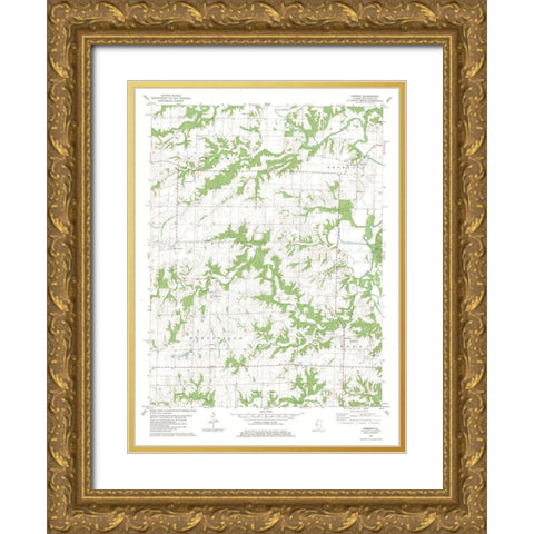 Camden Illinois Quad - USGS 1981 Gold Ornate Wood Framed Art Print with Double Matting by USGS