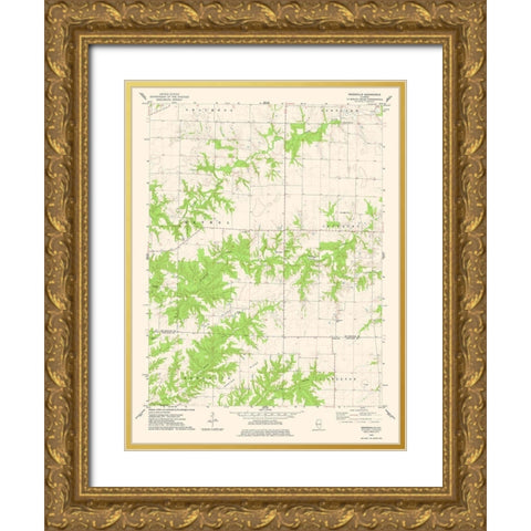 Doddsville Illinois Quad - USGS 1974 Gold Ornate Wood Framed Art Print with Double Matting by USGS