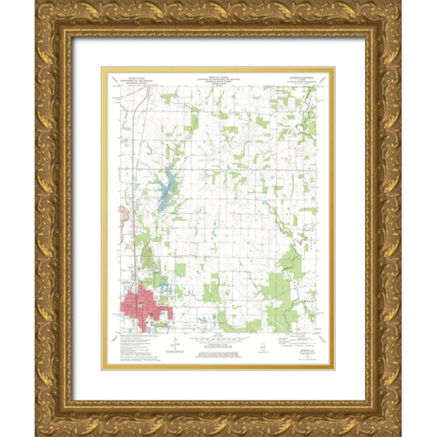 Du Quion Illinois Quad - USGS 1975 Gold Ornate Wood Framed Art Print with Double Matting by USGS