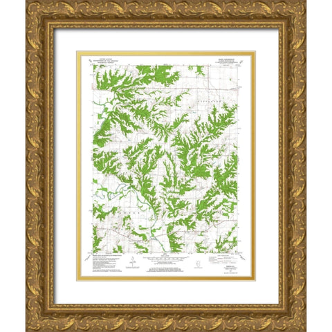 Erwin Illinois Quad - USGS 1981 Gold Ornate Wood Framed Art Print with Double Matting by USGS