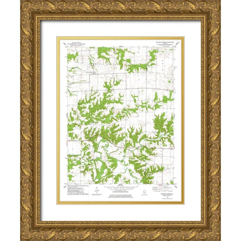 Fountain Green Illinois Quad - USGS 1974 Gold Ornate Wood Framed Art Print with Double Matting by USGS