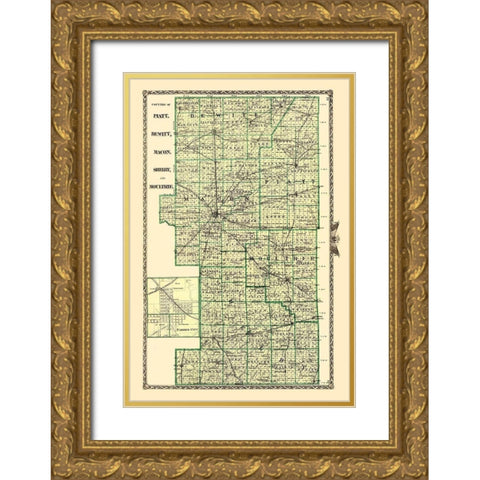 Piatt Dewitt Macon Shelby Moultrie Illinois Gold Ornate Wood Framed Art Print with Double Matting by Warner