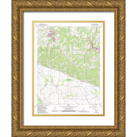 Raddle Illinois Quad - USGS 1968 Gold Ornate Wood Framed Art Print with Double Matting by USGS