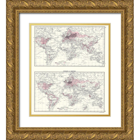 Global Potato Manioc - Bartholomew 1907 Gold Ornate Wood Framed Art Print with Double Matting by Bartholomew