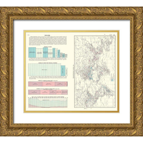 Global Vegetable Oils Drugs Diagram Gold Ornate Wood Framed Art Print with Double Matting by Bartholomew