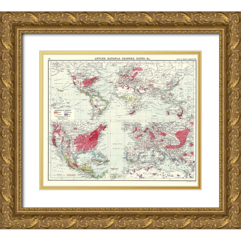 Apples Bananas Oranges Dates World - Newnes 1907 Gold Ornate Wood Framed Art Print with Double Matting by Newnes