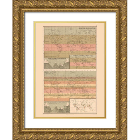 Zoological Chart World - Black 1867 Gold Ornate Wood Framed Art Print with Double Matting by Black