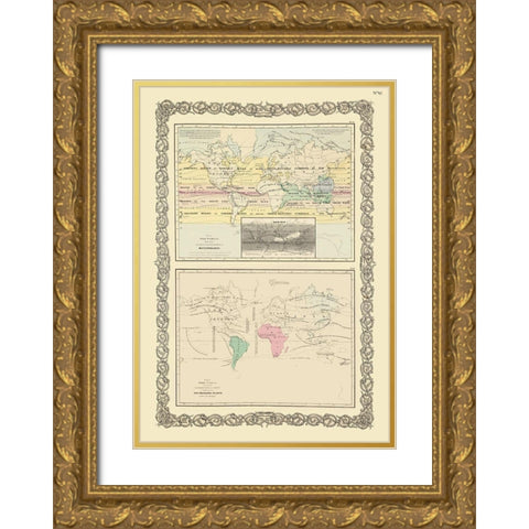 Meteorology Priniciple Plants Gold Ornate Wood Framed Art Print with Double Matting by Unknown