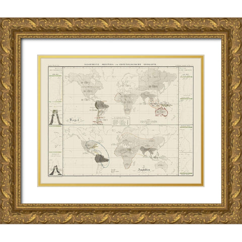 World Herpetological - 1845 Gold Ornate Wood Framed Art Print with Double Matting by Unknown