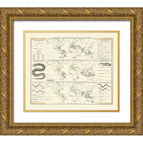 World Snakes - Berghaus Gold Ornate Wood Framed Art Print with Double Matting by Berghaus