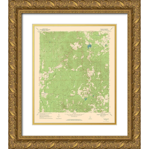Paulding Mississippi Quad - USGS 1970 Gold Ornate Wood Framed Art Print with Double Matting by USGS