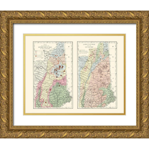 New Hampshire Agricultural - Hitchcock 1877 Gold Ornate Wood Framed Art Print with Double Matting by Hitchcock