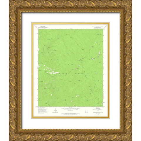 Bearwallow Mountain New Mexico Quad - USGS 1963 Gold Ornate Wood Framed Art Print with Double Matting by USGS