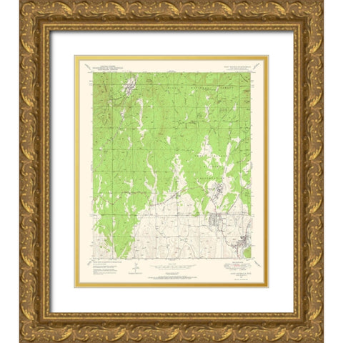 Fort Bayard New Mexico Quad - USGS 1947 Gold Ornate Wood Framed Art Print with Double Matting by USGS
