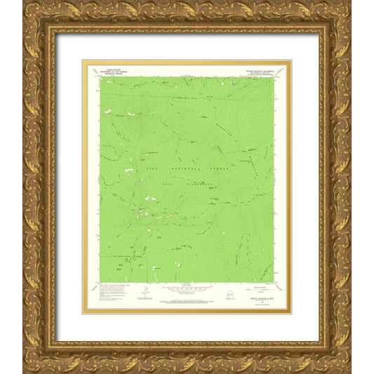 Perspective Image