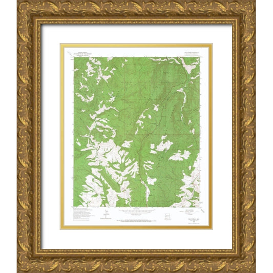 Perspective Image