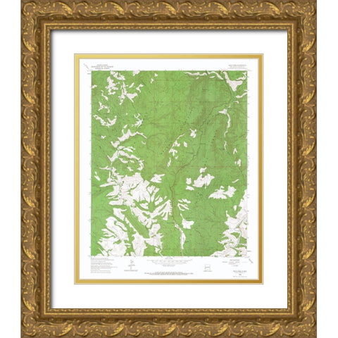 Salize Pass New Mexico Quad - USGS 1963 Gold Ornate Wood Framed Art Print with Double Matting by USGS