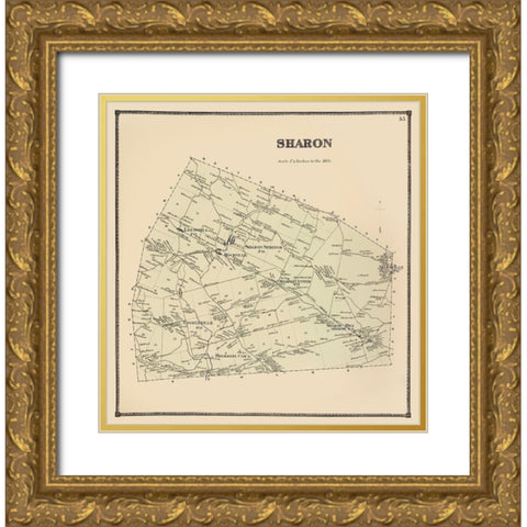 Sharon New York Landowner - Stone 1866 Gold Ornate Wood Framed Art Print with Double Matting by Stone