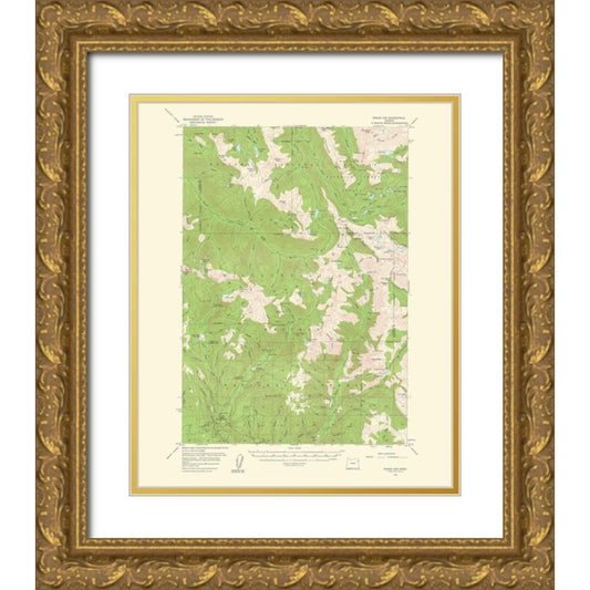 Perspective Image