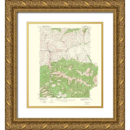 Perspective Image