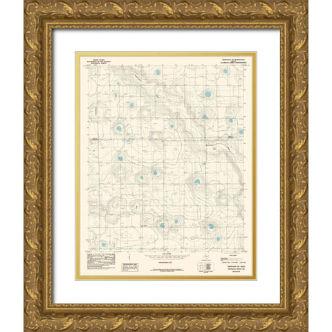 South West Abernathy Texas Quad - USGS 1985 Gold Ornate Wood Framed Art Print with Double Matting by USGS