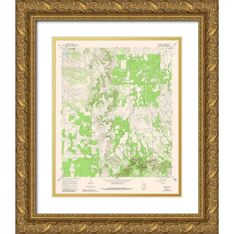 Admiral Texas Quad - USGS 1966 Gold Ornate Wood Framed Art Print with Double Matting by USGS