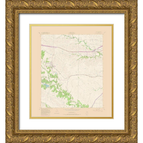 Aledo Texas Quad - USGS 1981 Gold Ornate Wood Framed Art Print with Double Matting by USGS