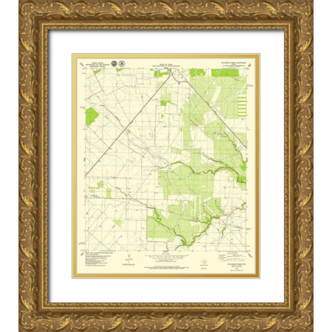 Bullshead Creek Texas Quad - USGS 1979 Gold Ornate Wood Framed Art Print with Double Matting by USGS