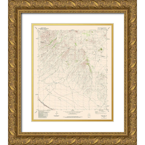 Burro Draw Texas Quad - USGS 1983 Gold Ornate Wood Framed Art Print with Double Matting by USGS