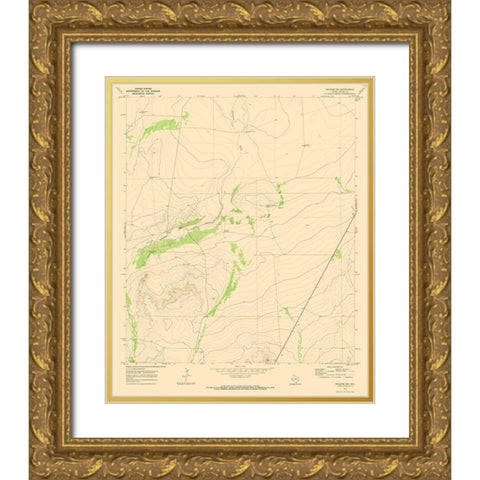 South West Belding Texas Quad - USGS 1970 Gold Ornate Wood Framed Art Print with Double Matting by USGS