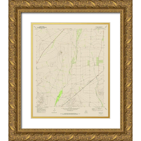 Belding Texas Quad - USGS 1970 Gold Ornate Wood Framed Art Print with Double Matting by USGS