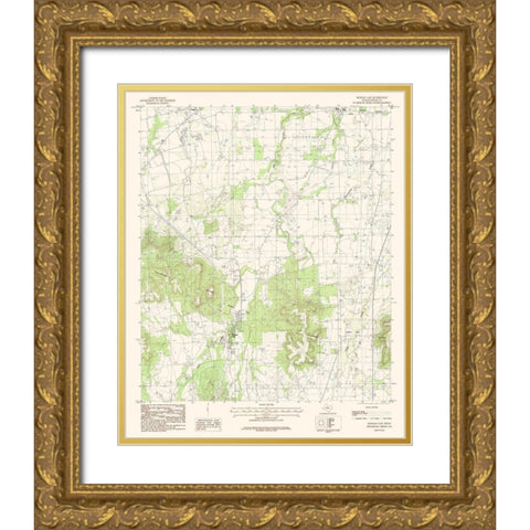 Buffalo Gap Texas Quad - USGS 1984 Gold Ornate Wood Framed Art Print with Double Matting by USGS