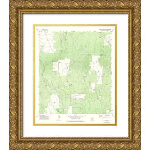 Beef Hollow Creek Texas Quad - USGS 1972 Gold Ornate Wood Framed Art Print with Double Matting by USGS