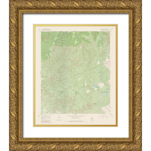 Buzzard Peak Texas Quad - USGS 1967 Gold Ornate Wood Framed Art Print with Double Matting by USGS