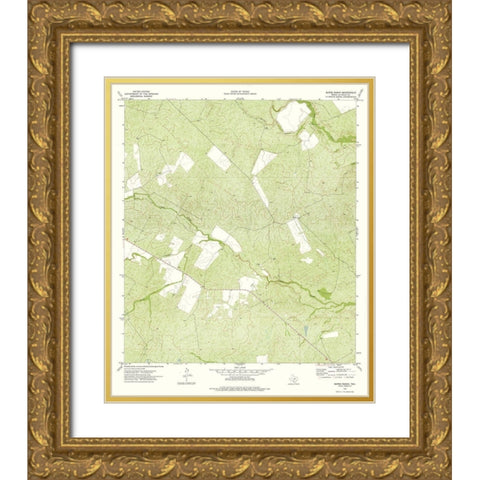 Burns Ranch Texas Quad - USGS 1974 Gold Ornate Wood Framed Art Print with Double Matting by USGS